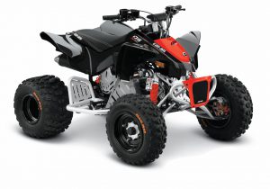 CANAM DS90X